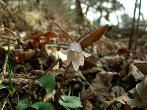 c0042869_19282885.jpg