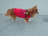 f0052071_1685577.jpg
