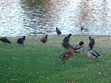 f0052071_1691521.jpg
