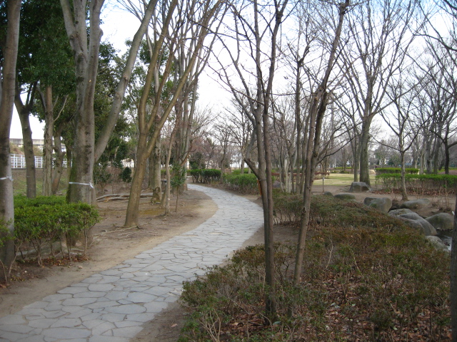 d0070473_11552616.jpg