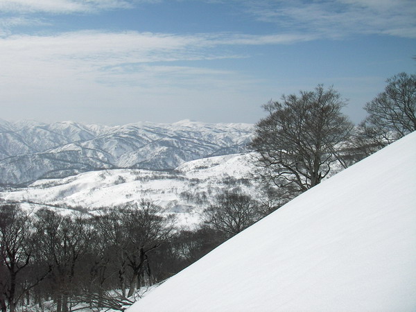 a0043193_20535590.jpg