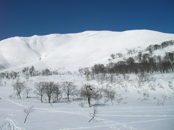 a0043193_20543888.jpg