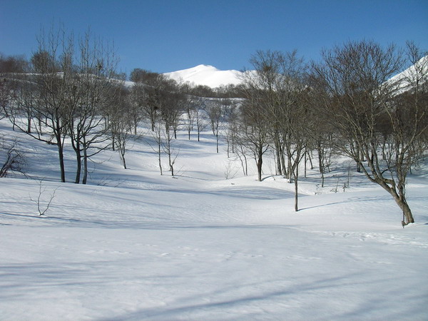 a0043193_20545838.jpg