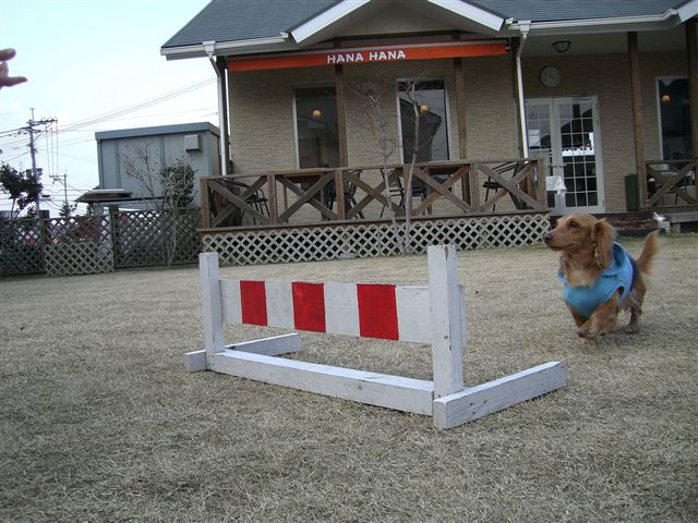 c0087001_13241927.jpg