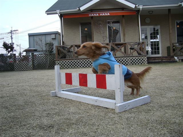 c0087001_13244974.jpg