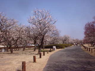 d0004301_2252541.jpg