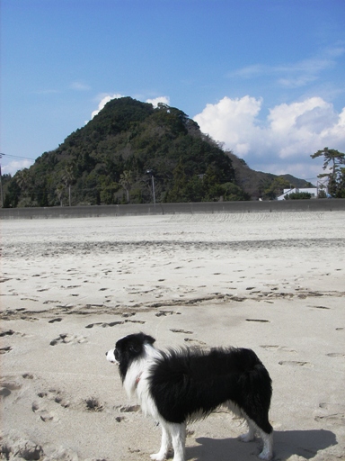 f0034602_21253140.jpg