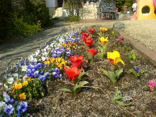 f0052603_16201541.jpg