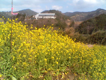 a0041108_1149471.jpg