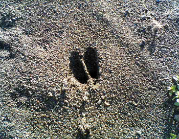 a0041108_11535973.jpg