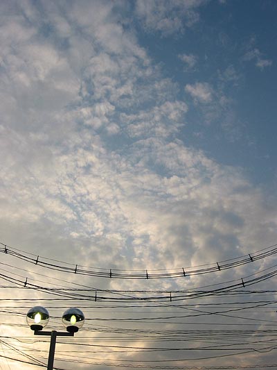 a0041508_1292312.jpg