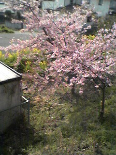 f0049813_1958442.jpg