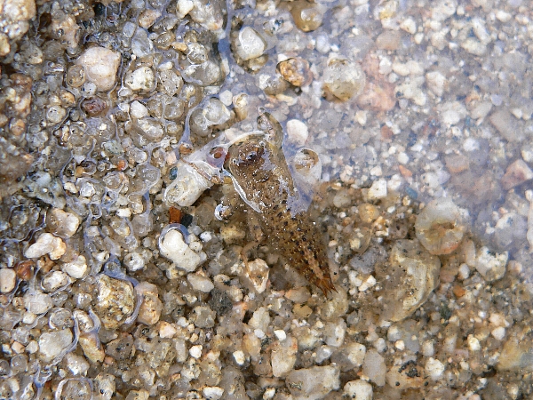 e0002314_2445774.jpg