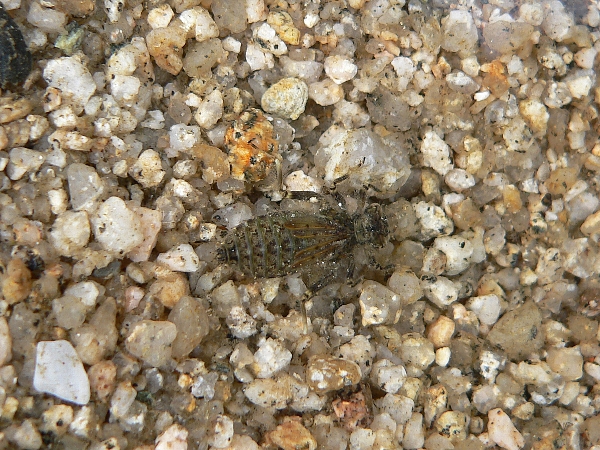 e0002314_2452141.jpg