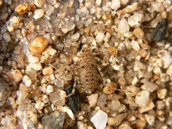 e0002314_2552131.jpg
