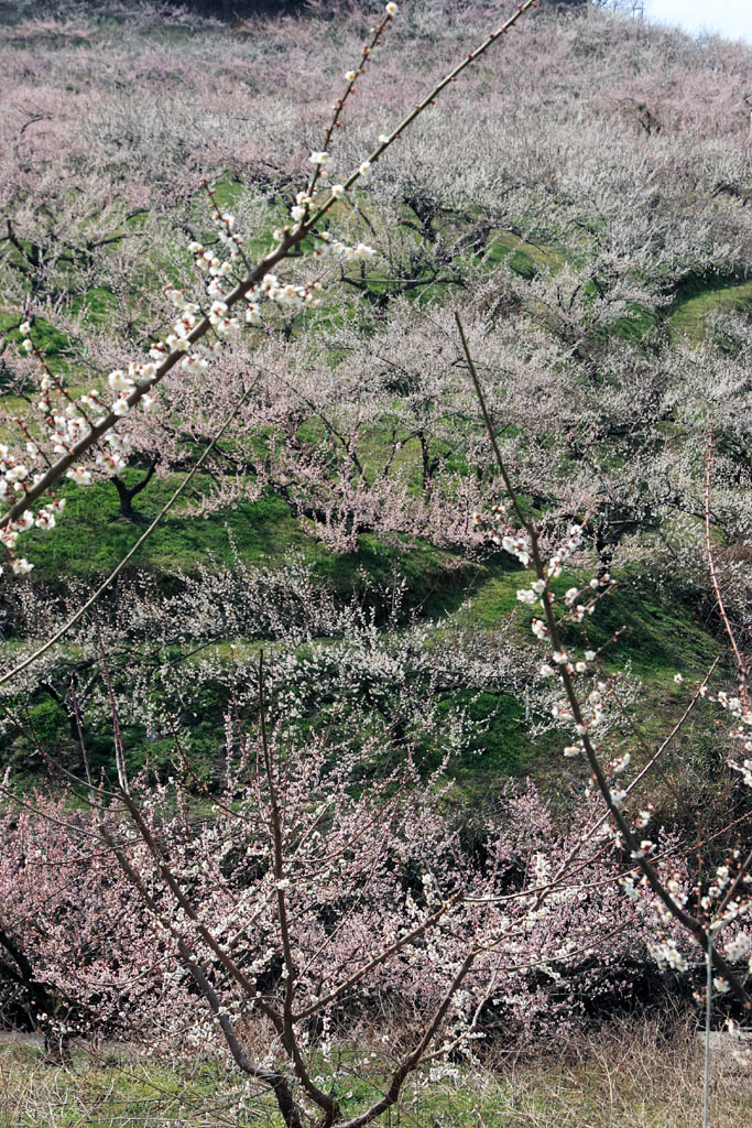 d0085715_0114230.jpg