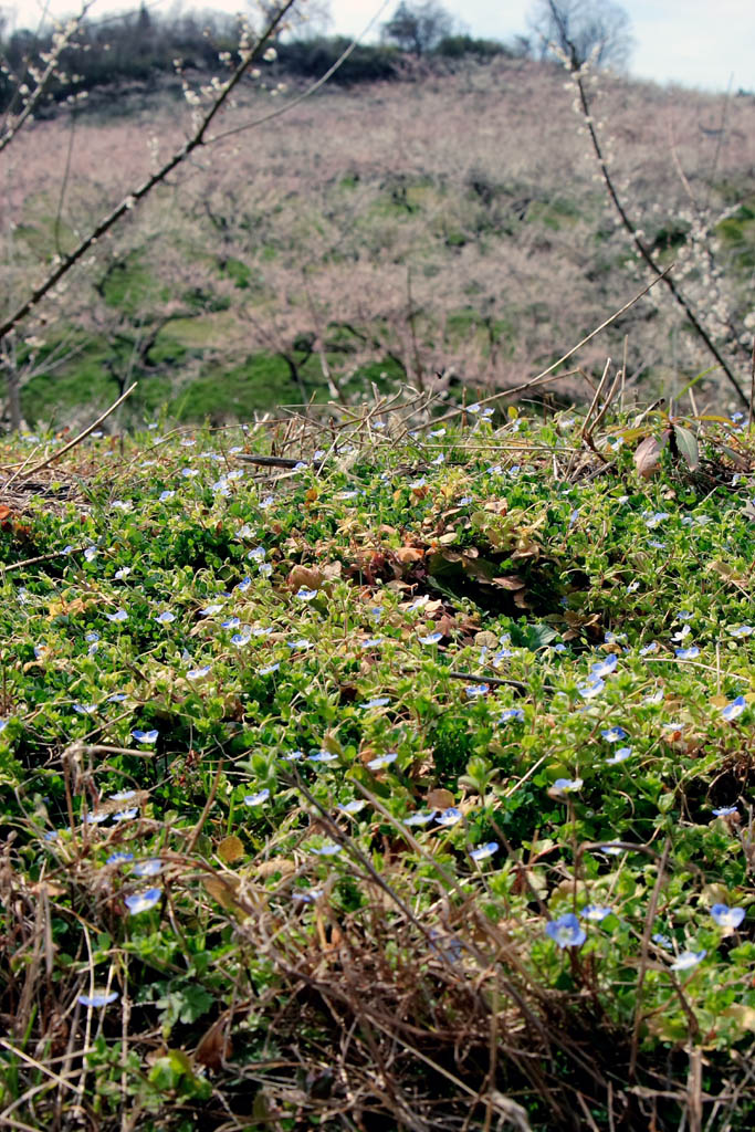 d0085715_0115557.jpg