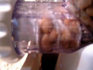 b0041638_234927.jpg