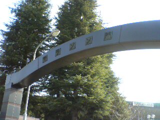 d0107938_2138759.jpg