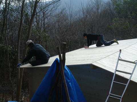 f0090444_23593.jpg