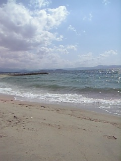 f0099147_1553567.jpg
