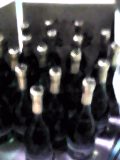 d0007957_21584751.jpg