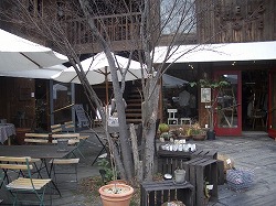 a0066258_12261061.jpg