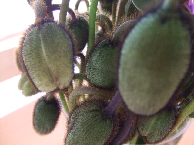 c0107861_17204765.jpg