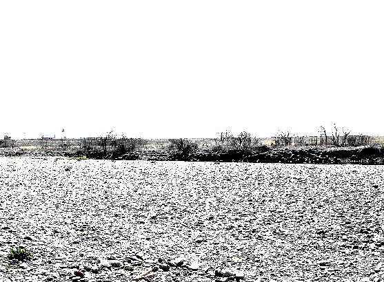 f0084561_1126132.jpg