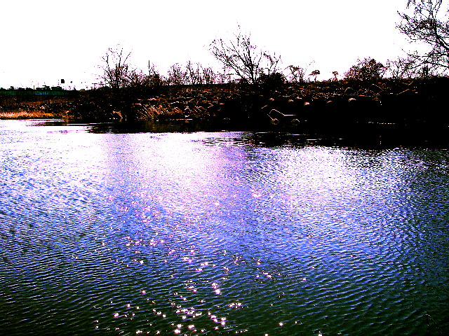 f0084561_11262434.jpg