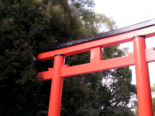 e0113562_011538.jpg