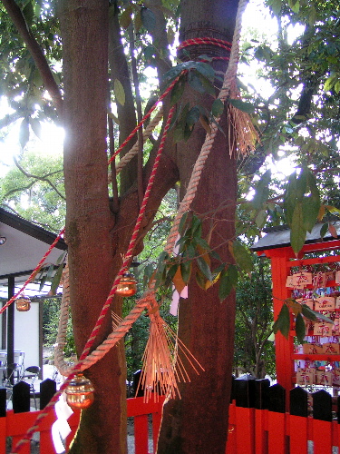 e0113562_032771.jpg