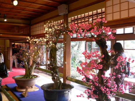 a0063364_22584178.jpg