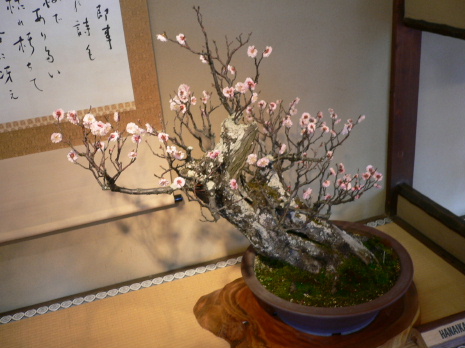 a0063364_22592698.jpg