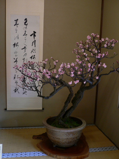 a0063364_237766.jpg