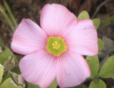d0050472_14331563.jpg