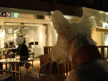 b0091373_22565698.jpg