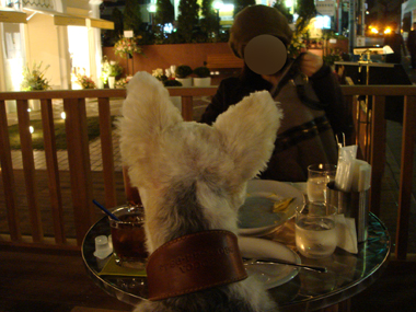 b0091373_2257134.jpg