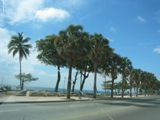 c0102375_4102747.jpg