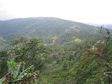 c0102375_4115367.jpg