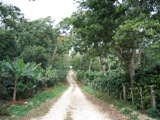c0102375_411630.jpg