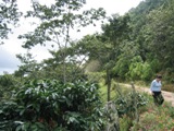 c0102375_43784.jpg