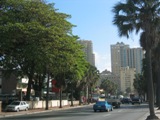 c0102375_482278.jpg