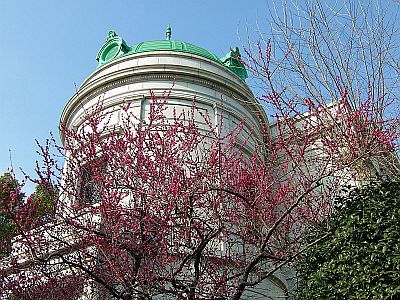 e0022175_0175858.jpg
