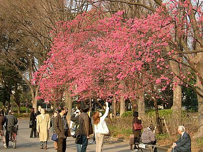 e0022175_018790.jpg