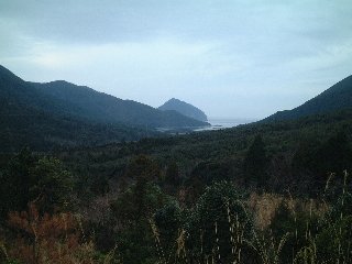 b0046478_16265288.jpg