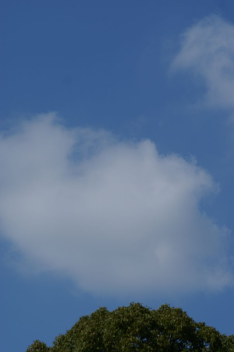 d0079278_2146398.jpg