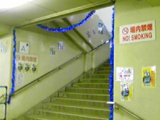 e0116485_315890.jpg