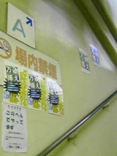 e0116485_3265025.jpg