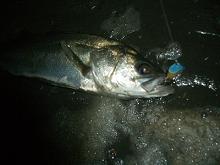 f0069890_2320366.jpg